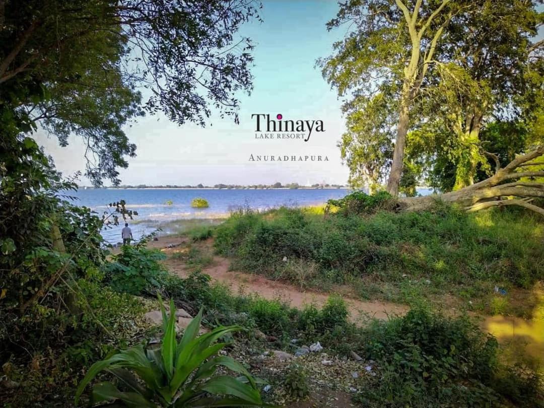 אנוראדפורה Thinaya Lake Resort מראה חיצוני תמונה